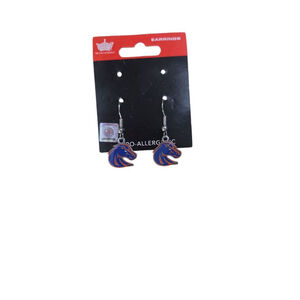 Boise State Broncos Team Earrings